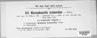 Mycosphaerella lysimachiae image